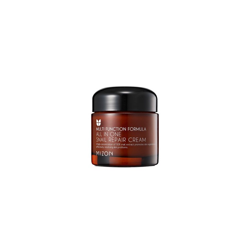 MIZON ALL IN ONE SNAIL REPAIR.jpg