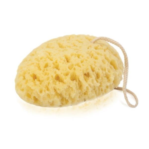 BATH SPONGE.jpg