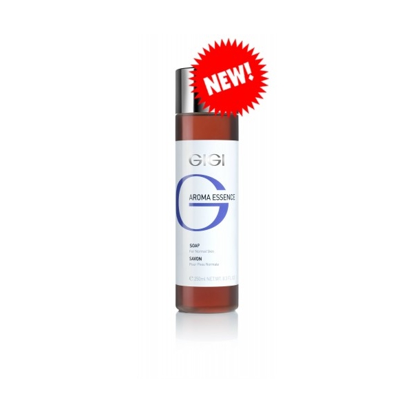 GIGI AROMA ESSENCE SOAP FOR NORMAL SKIN 250 ML.jpg