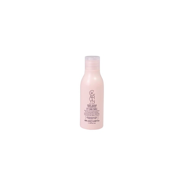 INEBRYA KARYN DEEP SHINE SHAMPOO.jpg