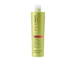 Inebrya Ice Cream Energy Shampoo