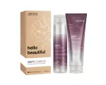 Joico Defy Damage Holiday Duo 