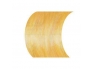 Colora Henna Creme Gold Blond 1.jpg