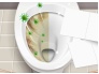 Cosmeau Toilet Cleaner Sheets 1.jpg